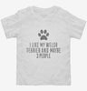Funny Welsh Terrier Toddler Shirt 666x695.jpg?v=1700458710