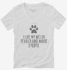 Funny Welsh Terrier Womens Vneck Shirt 666x695.jpg?v=1700458710