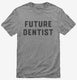 Future Dentist grey Mens