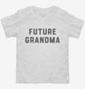 Future Grandma Toddler Shirt 666x695.jpg?v=1700343287