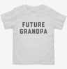 Future Grandpa Toddler Shirt 666x695.jpg?v=1700343246