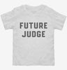 Future Judge Toddler Shirt 666x695.jpg?v=1700343119
