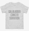 Gallbladder Cancer Survivor Toddler Shirt 666x695.jpg?v=1700501869