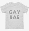 Gay Bae Toddler Shirt 666x695.jpg?v=1700491865