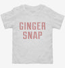Ginger Snap Toddler Shirt 666x695.jpg?v=1700553360