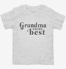 Grandma Knows Best Toddler Shirt 666x695.jpg?v=1700363313