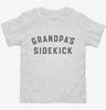 Grandpas Sidekick Toddler Shirt 666x695.jpg?v=1700341431