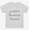 Grateful Thankful Blessed Toddler Shirt 666x695.jpg?v=1700387060