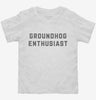 Groundhog Enthusiast Funny Groundhog Day Toddler Shirt 666x695.jpg?v=1700387019
