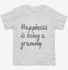 Happiness Is Being A Grammy Toddler Shirt 666x695.jpg?v=1700493192