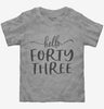Hello Forty Three 43rd Birthday Gift Hello 43 Toddler