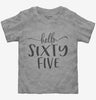 Hello Sixty Five 65th Birthday Gift Hello 65 Toddler
