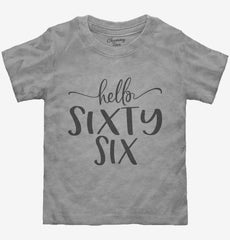 Hello Sixty Six 66th Birthday Gift Hello 66 Toddler Shirt