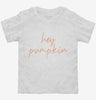 Hey Pumpkin Toddler Shirt 666x695.jpg?v=1700364698