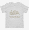Holy Moley Toddler Shirt 666x695.jpg?v=1700552087
