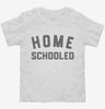 Homeschooled Toddler Shirt 666x695.jpg?v=1700376513