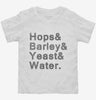Hops And Barley And Yeast And Water Toddler Shirt 666x695.jpg?v=1700551898
