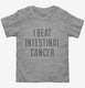 I Beat Intestinal Cancer grey Toddler Tee