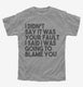 I Didn't Say It Was Your Fault I Said I Was Going to Blame You grey Youth Tee