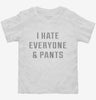 I Hate Everyone And Pants Toddler Shirt 666x695.jpg?v=1700639303