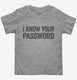 I Know Your Password grey Toddler Tee