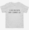 I Like Big Data And I Cannot Lie Toddler Shirt 666x695.jpg?v=1700638225