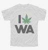 I Love Weed Washington Funny Youth