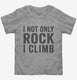 I Not Only Rock I Climb  Toddler Tee