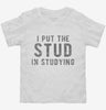 I Put The Stud In Studying Toddler Shirt 666x695.jpg?v=1700635281