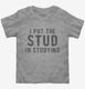 I Put The Stud In Studying  Toddler Tee