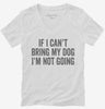 If I Cant Bring My Dog Im Not Going Womens Vneck Shirt 666x695.jpg?v=1700416891