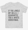 If You Jingle My Bells I Guarantee You A White Christmas Toddler Shirt 666x695.jpg?v=1700398593