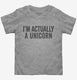 I'm Actually A Unicorn grey Toddler Tee