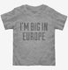 I'm Big In Europe grey Toddler Tee