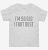 Im So Old I Fart Dust Toddler Shirt 666x695.jpg?v=1700544936