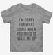 I'm Sorry For What I Said When You Tried To Wake Me Up grey Toddler Tee