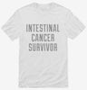 Intestinal Cancer Survivor Shirt 666x695.jpg?v=1700495546