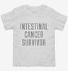 Intestinal Cancer Survivor Toddler Shirt 666x695.jpg?v=1700495546