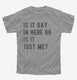 Is It Gay In Here Or Is It Just Me  Youth Tee