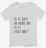 Is It Gay In Here Or Is It Just Me Womens Vneck Shirt 666x695.jpg?v=1700634806