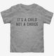 It's A Child Not A Choice grey Toddler Tee