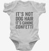 Its Not Dog Hair Its Canine Confetti Infant Bodysuit 666x695.jpg?v=1700411557