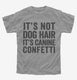 It's Not Dog Hair It's Canine Confetti  Youth Tee