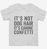 Its Not Dog Hair Its Canine Confetti Toddler Shirt 666x695.jpg?v=1700411557