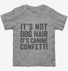 Its Not Dog Hair Its Canine Confetti Toddler