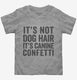 It's Not Dog Hair It's Canine Confetti  Toddler Tee