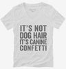 Its Not Dog Hair Its Canine Confetti Womens Vneck Shirt 666x695.jpg?v=1700411557