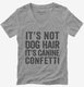 It's Not Dog Hair It's Canine Confetti  Womens V-Neck Tee