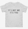 Its Not Me Its You Toddler Shirt 666x695.jpg?v=1700633252