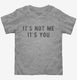 It's Not Me It's You grey Toddler Tee